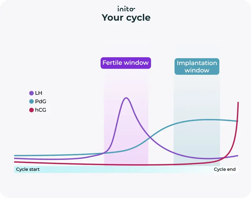Fertile Window and PDG test