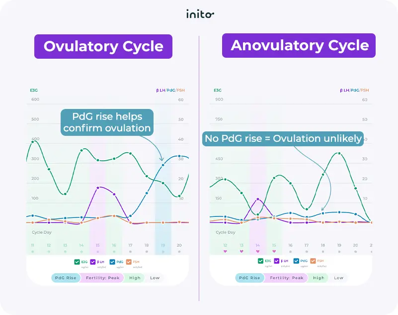 Ovulatory Cycle VS Anovulatory Cycle