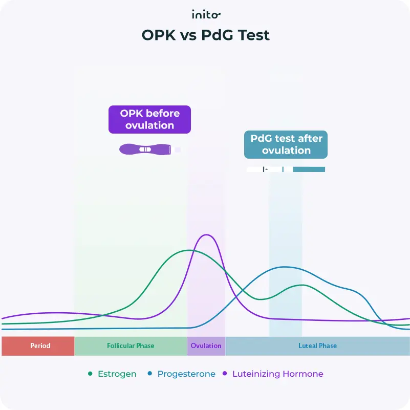 PdG test vs OPK