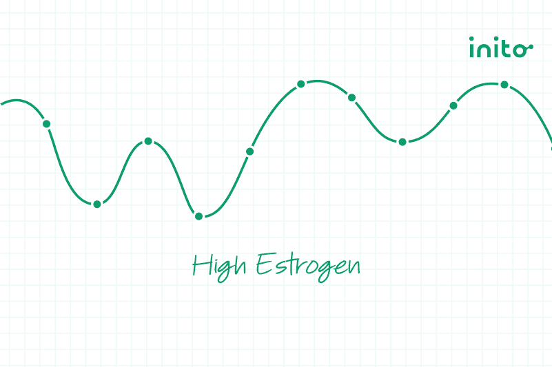 High Estrogen