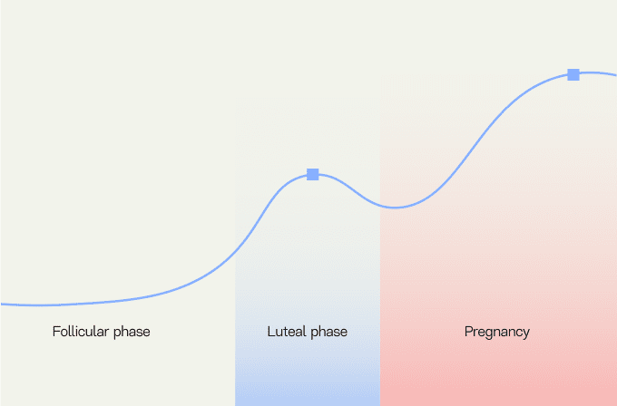 INITO 2025 Blog JULY Progesterone Pillar Blog