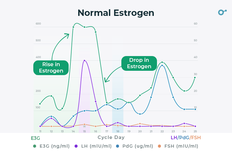 Normal estrogen level