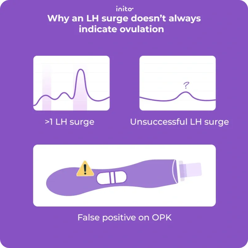 Why an LH surge doesn’t always mean ovulation