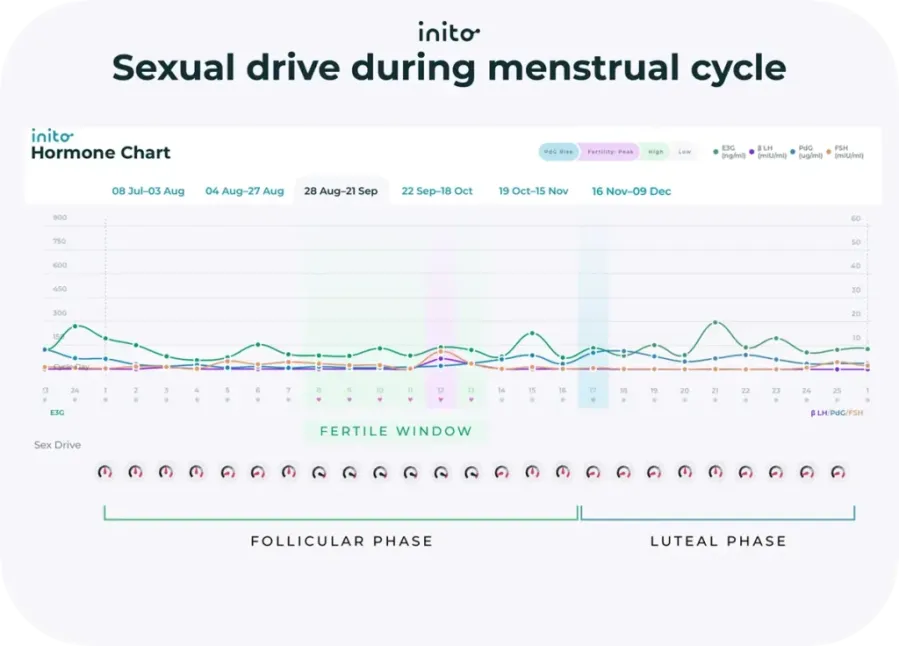 Sexual drive during menstrual cycle