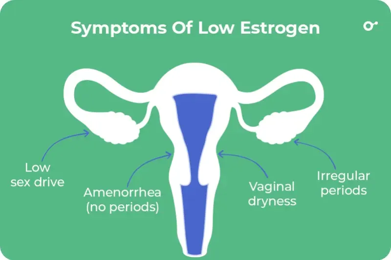 Symptoms Of Low Estrogen 2