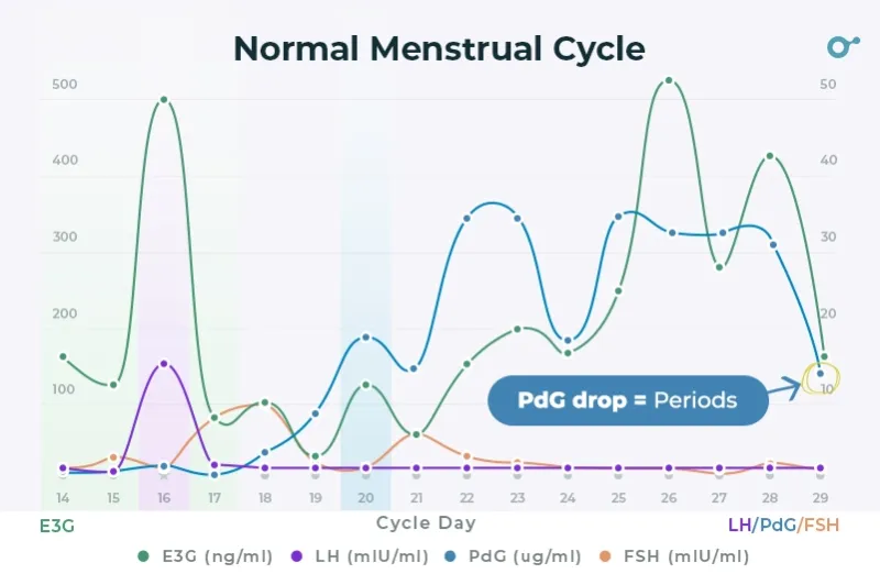 progesterone levels to dip triggering menstruation
