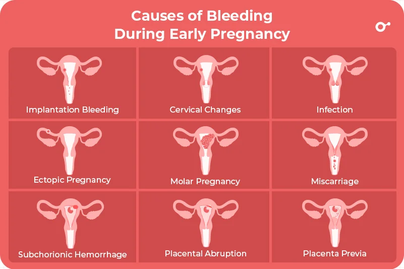 Causes of bleeding during early pregnancy