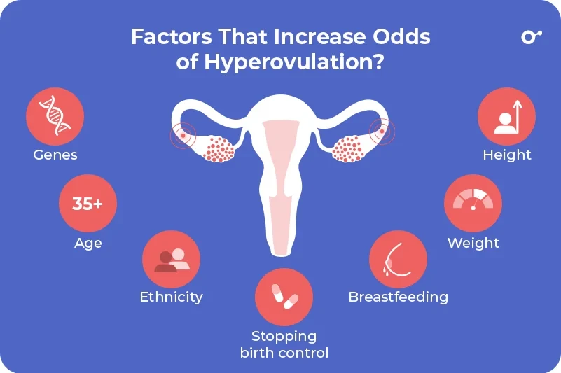 Factors that increase the chances of hyperovulation Factors that increase the chances of hyperovulation
