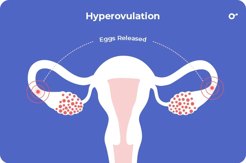 What is Hyperovulation What is Hyperovulation