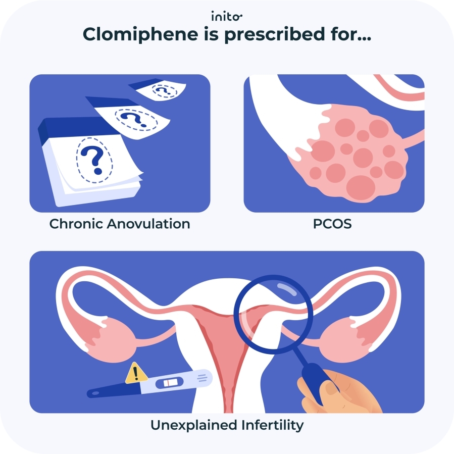 Who should use Clomiphene