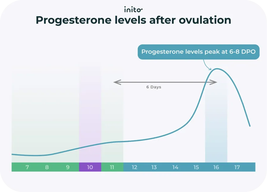 Progesterone levels after ovulation Progesterone levels after ovulation