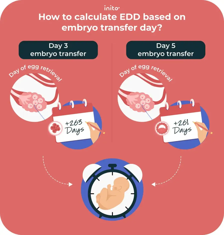 Day 3 vs. Day 5 Embryo Transfer Day Day 3 vs. Day 5 Embryo Transfer Day