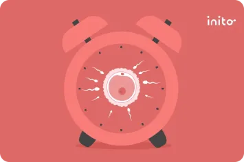 after menopause pregnancy