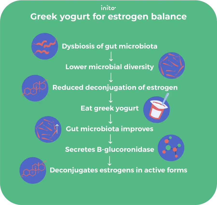 Greek yogurt for estrogen balance