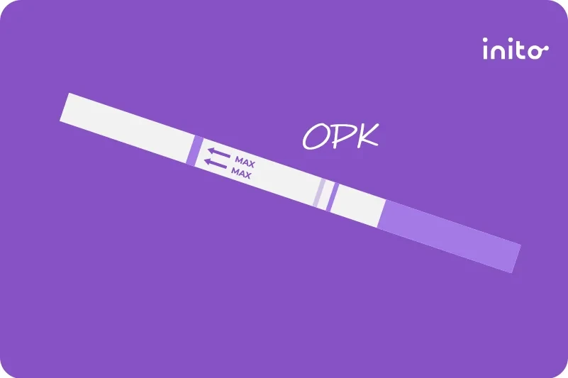 Faint Line on an Ovulation Test