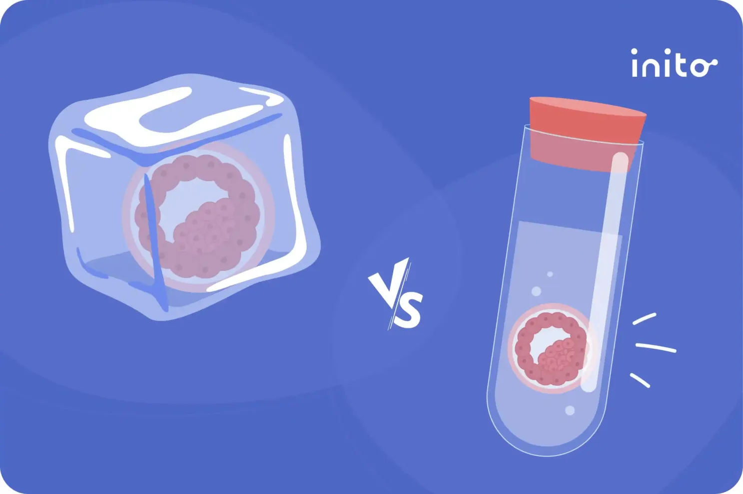 Fresh vs. Frozen Embryo Transfer