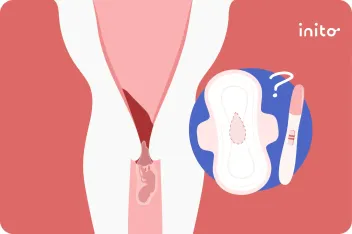 No Period After A Miscarriage, Could I Be Pregnant