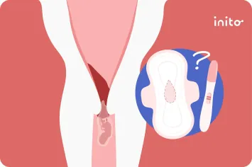 No Period After A Miscarriage, Could I Be Pregnant