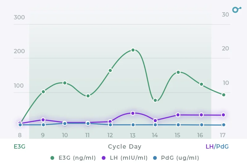 Ovulation after LH surge