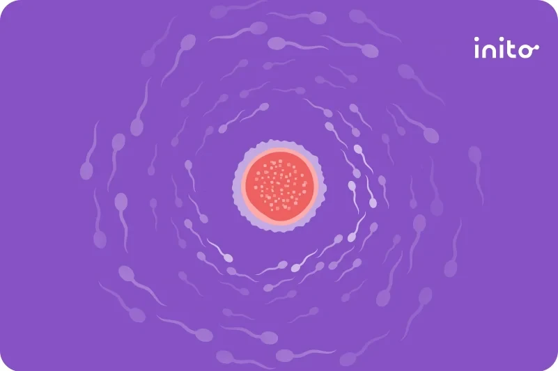 how to confirm whether sperm went inside