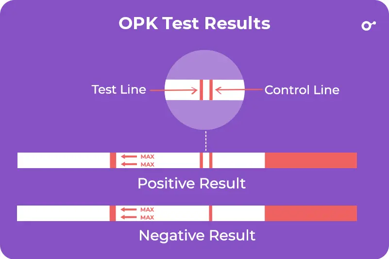 OPK test results