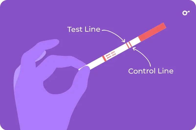 What are Ovulation Predictor Kits (OPKs)