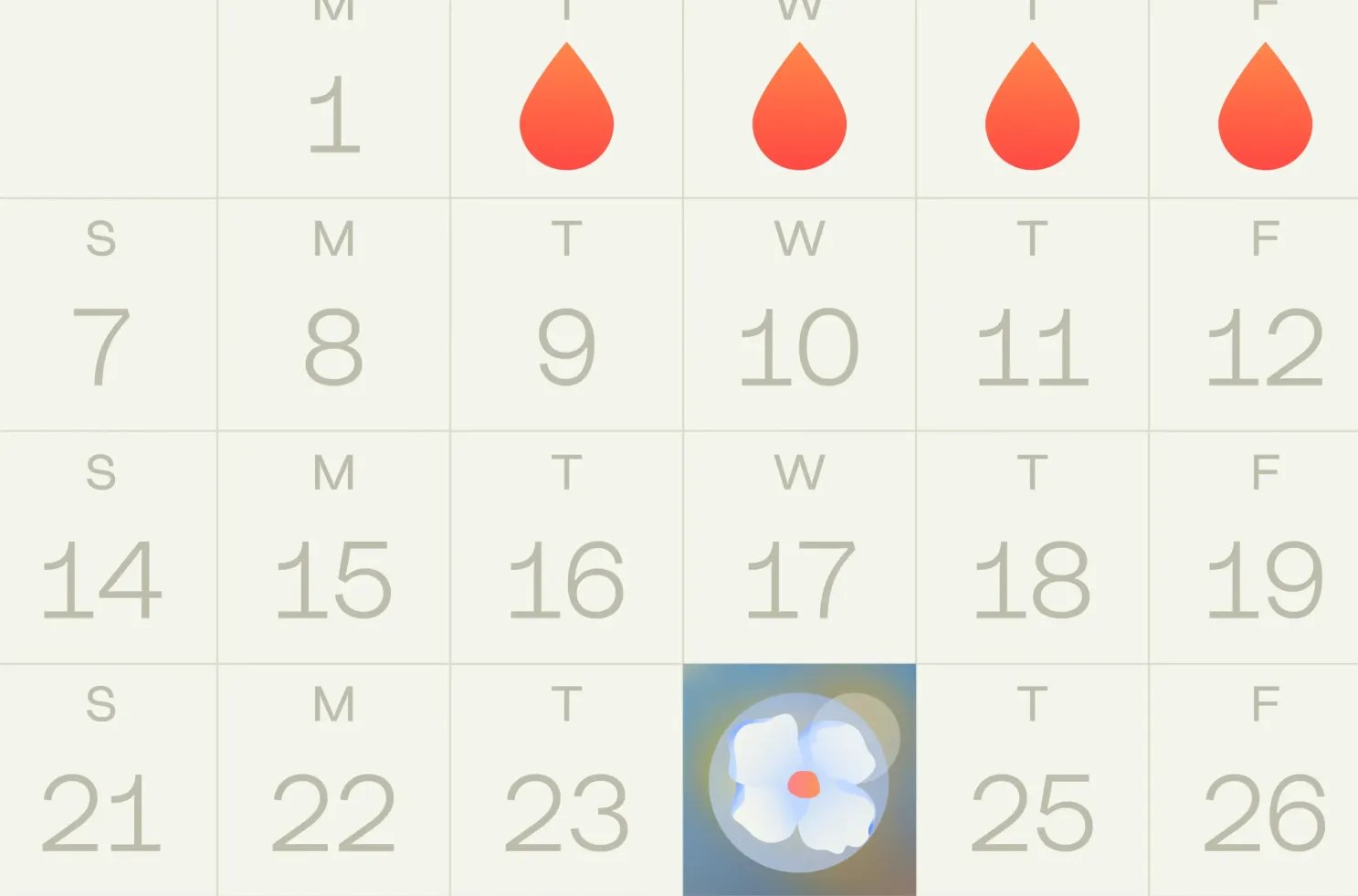 How Accurate Are Implantation Calculators