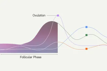 Follicular Phase Symptoms