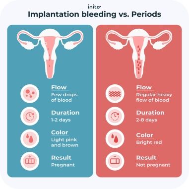 Luteal Phase Discharge: What It's Telling You - Inito
