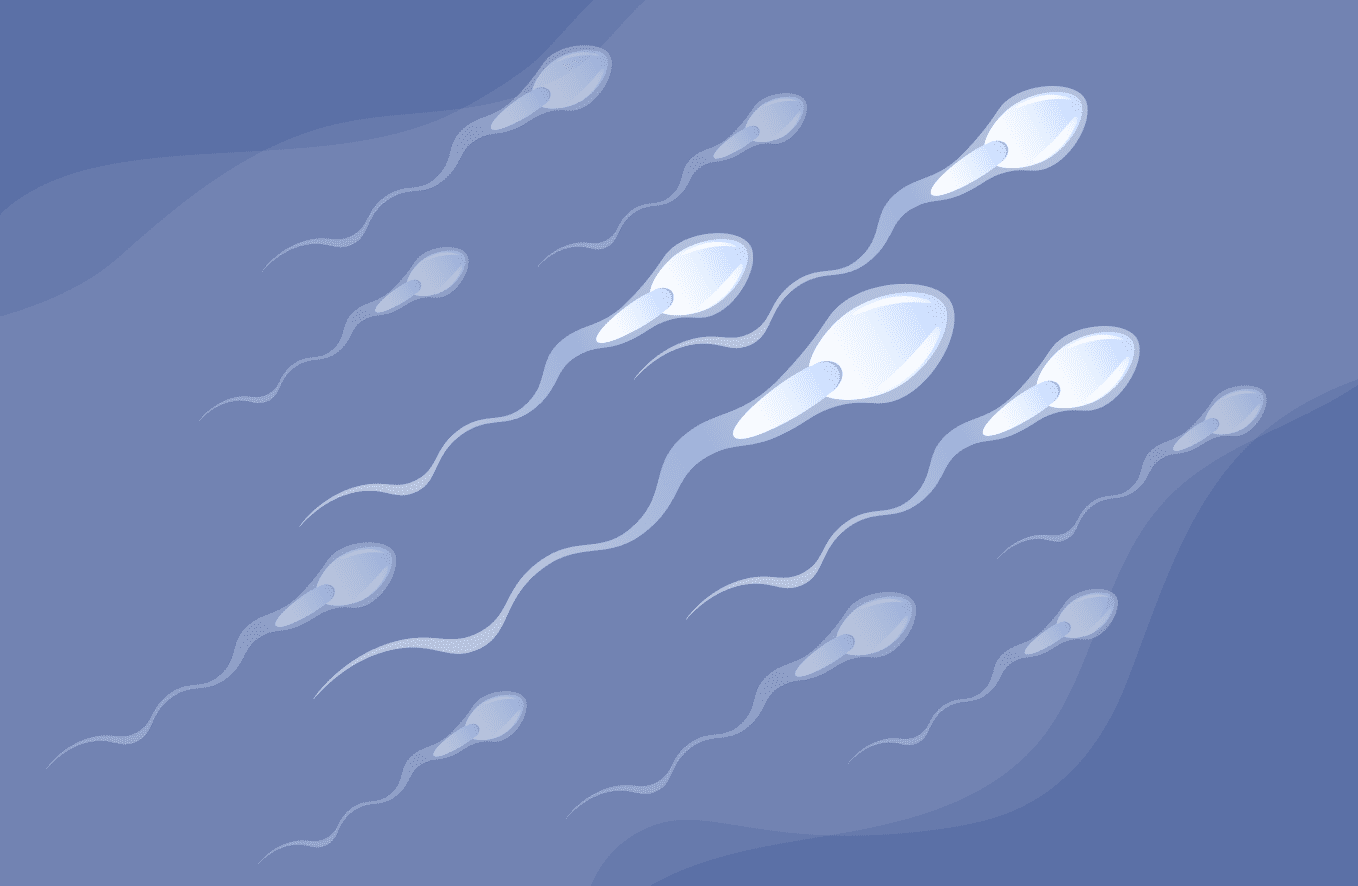 Does Ejaculating Multiple Times Reduce Sperm Count