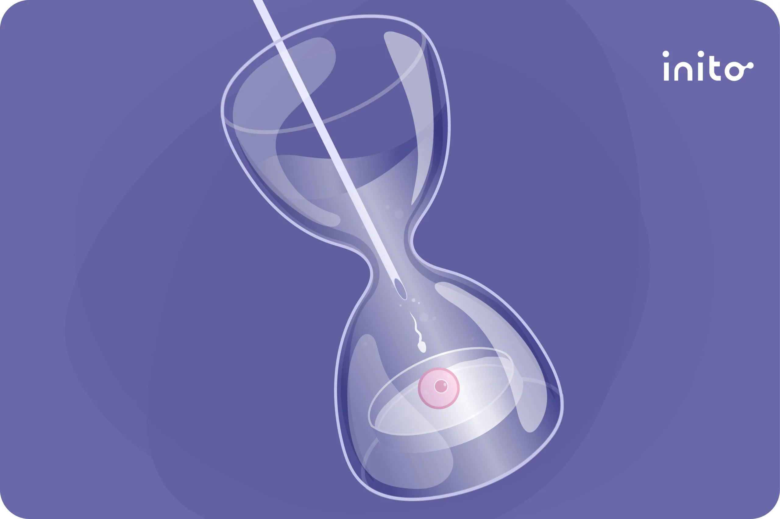 IVF timeline