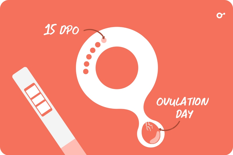 INITO 2022 Blog August 15DPO 3