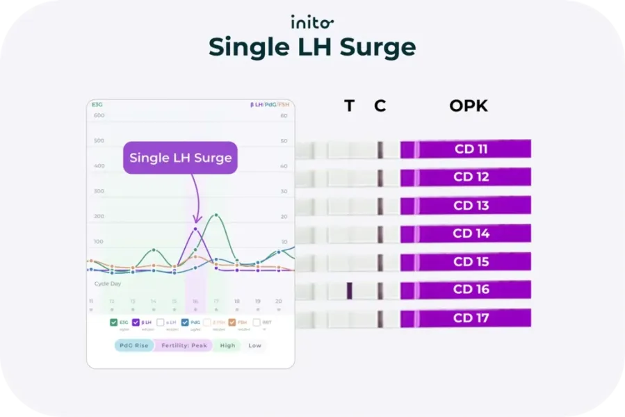 Single LH Surge