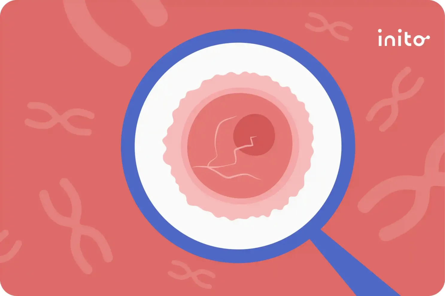 Signs of Bad Egg Quality